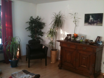 Foto_2.JPG